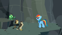 Rainbow Dash with Tank and the flyers S2E07