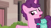 Sugar Belle "you look familiar" S7E8.png (720 KB)