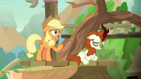 Applejack "wouldn't be a friendship quest" S8E23