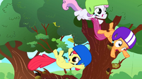 The Cutie Mark Crusaders, just seconds before the crash.