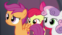 Cutie Mark Crusaders look at the Hippogriffs S8E6