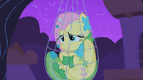 Fluttershy caught in her own trap S1E26