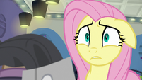 Fluttershy confused about thread count S8E4