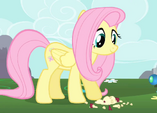 Fluttershy