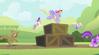 Ponies getting up and over the crates S2E05