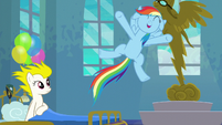 Rainbow Dash "here you all are doin' it!" S6E7