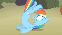 Rainbow Dash on the ground without her wings S02E01