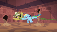 Rainbow and Daring flying and pulling vine S6E13