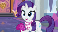 Rarity -share the different things we enjoy- S8E17