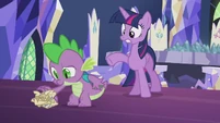 "Spike, no! Don't touch that!"