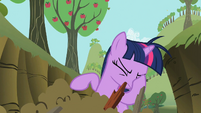 Twilight facehoof S02E03