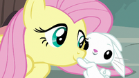 Angel hugging Fluttershy's face S9E18