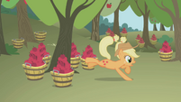 Applejack misses the tree S1E04