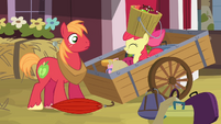 Big McIntosh sees Apple Bloom emerge from the wagon S4E09