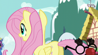 Fluttershy trying to find an albino squirrel supposedly around her S5E19