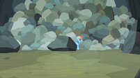 Rainbow Dash comes out from behind boulder S2E07