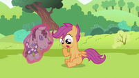 Scootaloo "But um" S2E03