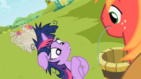 Twilight asks Big Mac for help S2E03