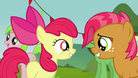 Apple Bloom and Babs Seed meets again S3E08