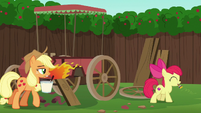 Apple Bloom with paint brush; AJ with paint remover S6E14