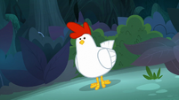 Chicken comes out of the bushes S9E13