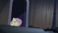 Fluttershy hiding S04E03