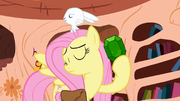 Fluttershy holding a gem S3E11 (Promo)