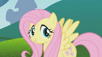 Fluttershy talking to Applejack off-screen S1E4