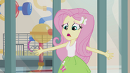 Fluttershy telling hamsters to stop EG2