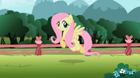 Fluttershy trotting S2E07