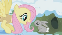 Fluttershy waking up a bunny S01E11