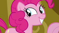 Pinkie Pie grinning at Twilight Sparkle S7E14