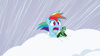 Rainbow and Tank inside the snow S5E5