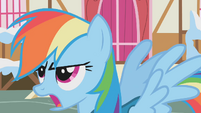 Rainbow calling Ditzy Doo a featherbrain S1E11