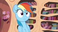 "Rainbow Dash!"