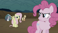 S02E02 Fluttershy śmieje się z Pinkie