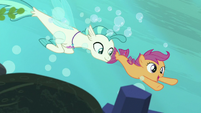 Scootaloo and Terramar swimming together S8E6