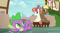 Spike helps Coco Crusoe and Rainbow Stars get along S7E15