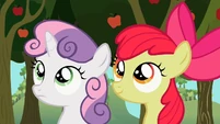 Apple Bloom knows what to do.