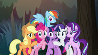 Twilight and friends looking at Fluttershy S8E13
