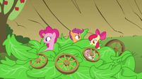 800px-Pinkie, Apple Bloom and Scootaloo sticking heads out of lettuce S3E4
