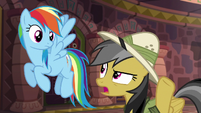 Daring Do "is he always like this?" S6E13