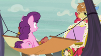 Feather Bangs' carriage knocks Big Mac out of the way S7E8