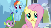 Fluttershy "what's wrong, Twilight?" S4E25