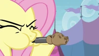 Fluttershy's making good use of her bear whistle she got to trade.