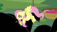 Fluttershy continues comforting Cerberus S2E20