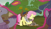 Fluttershy hugging the animals S5E23