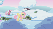 Fluttershy wakes a bunny while Cheerilee walks by in background S1E11