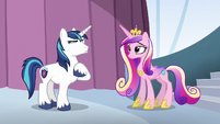 Princess Cadance raises an eyebrow S6E1