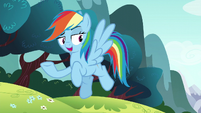 Rainbow Dash "you already know me" S6E6